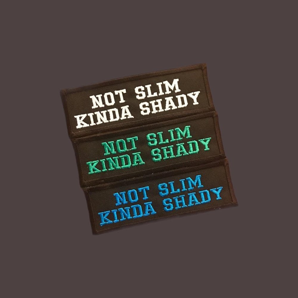 3 Funny Embroidered Patches Blue, White, Green Lettering "Not Slim Kinda…